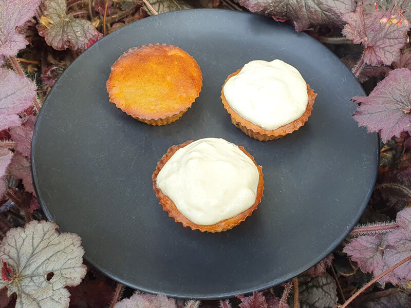 Carrot and Mandarin Oat Muffins