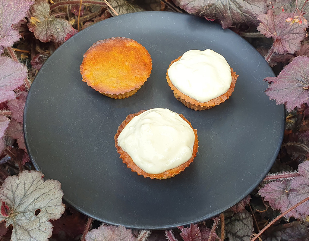 Carrot and Mandarin Oat Muffins