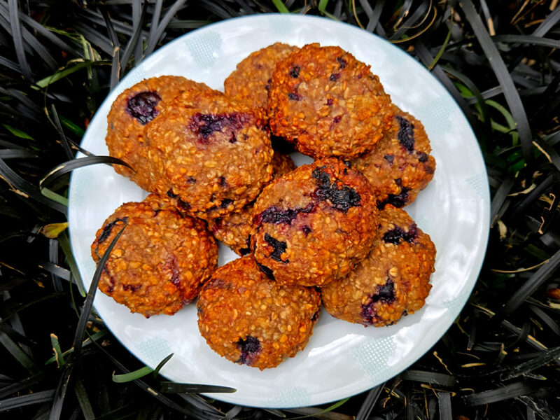 Healthy Oat Cookies with Mixed Berries