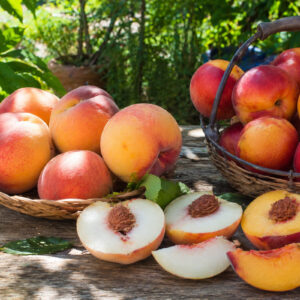 Peach Recipes
