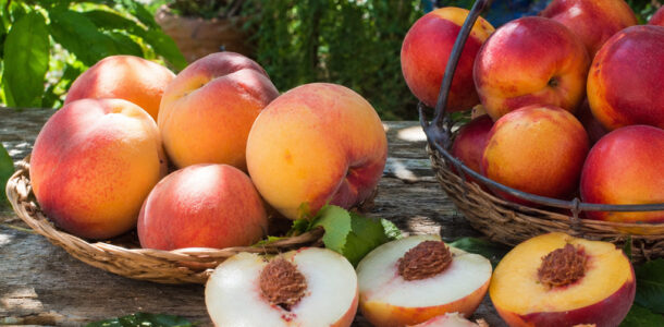 Peach Recipes