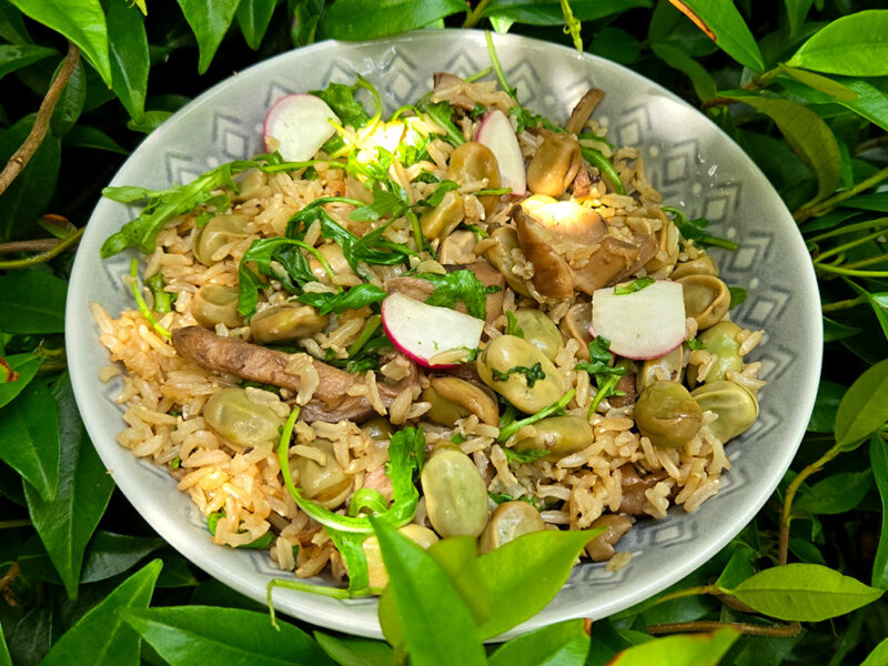 Shiitake, Broad Bean and Rice Salad