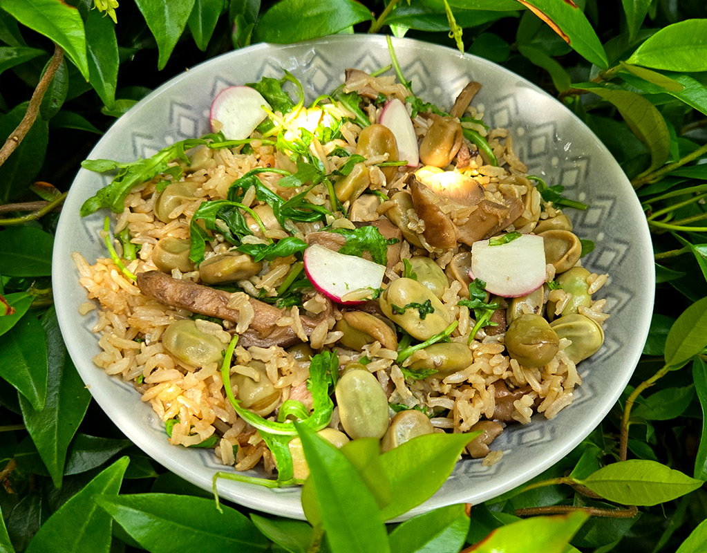 Shiitake, Broad Bean and Rice Salad