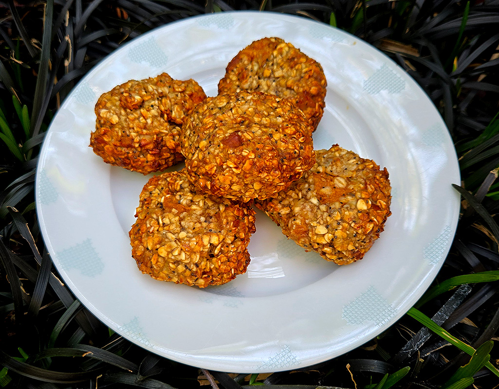 Apricot and Chia Seed Oat Cookies