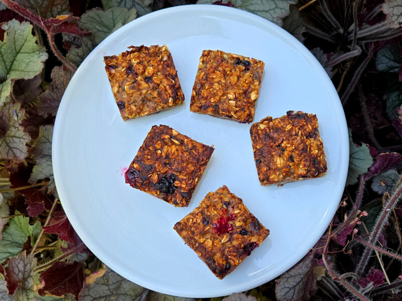 Blackberry and Ginger Oat Slices