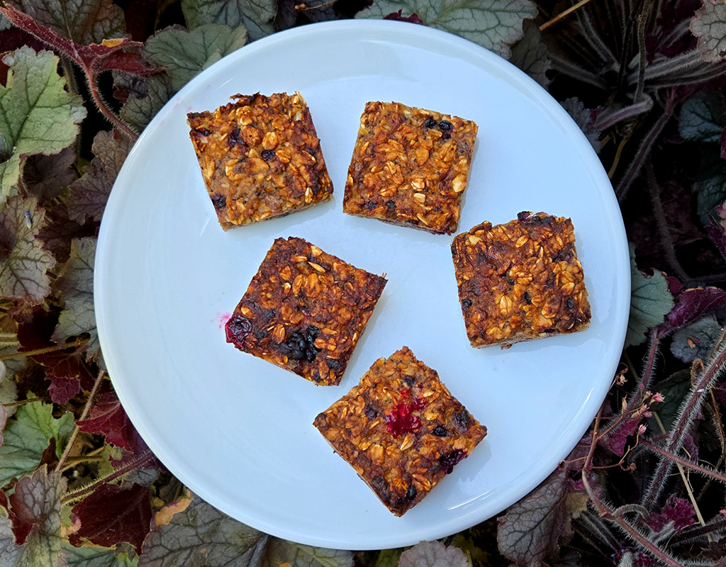 Blackberry and Ginger Oat Slices