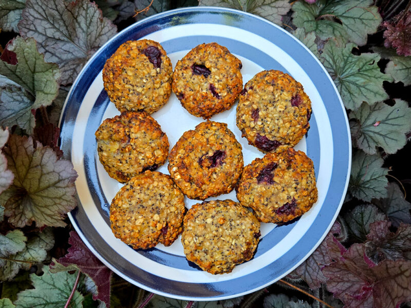 Cherry and Poppy Seed Oat Cookies