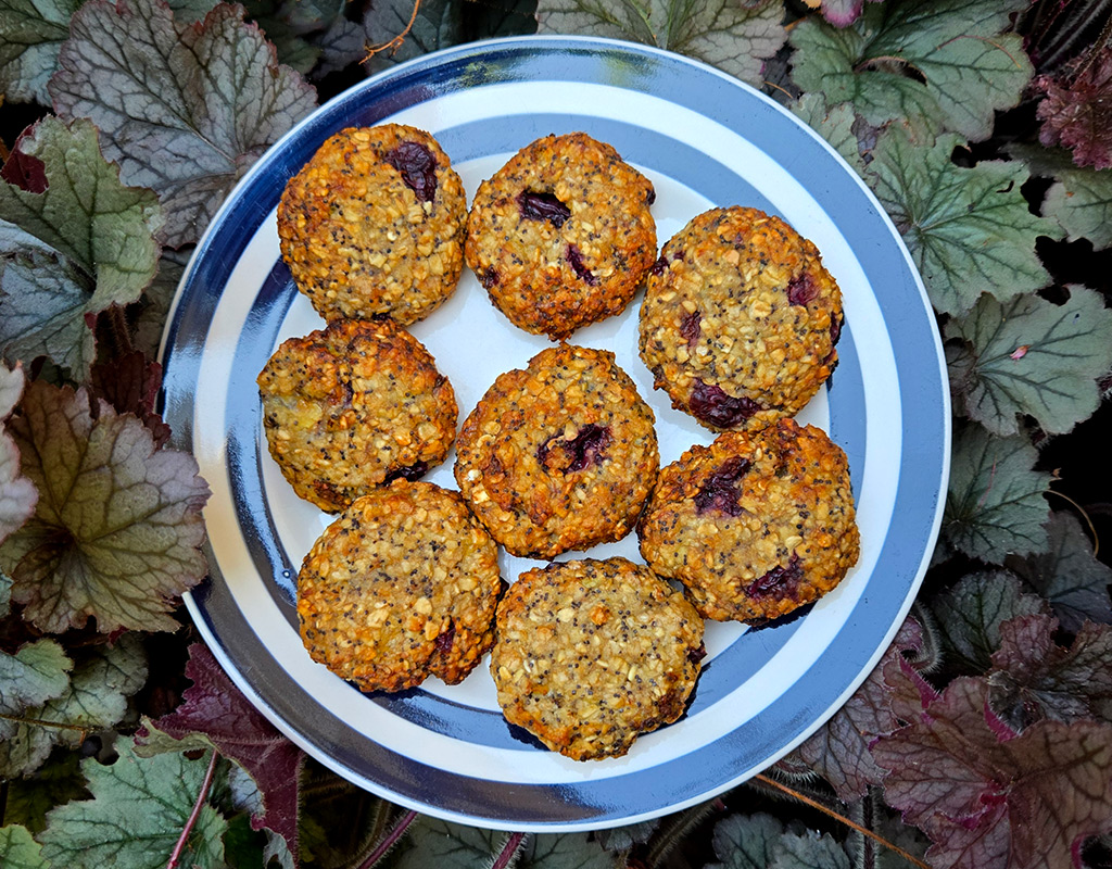 Cherry and Poppy Seed Oat Cookies