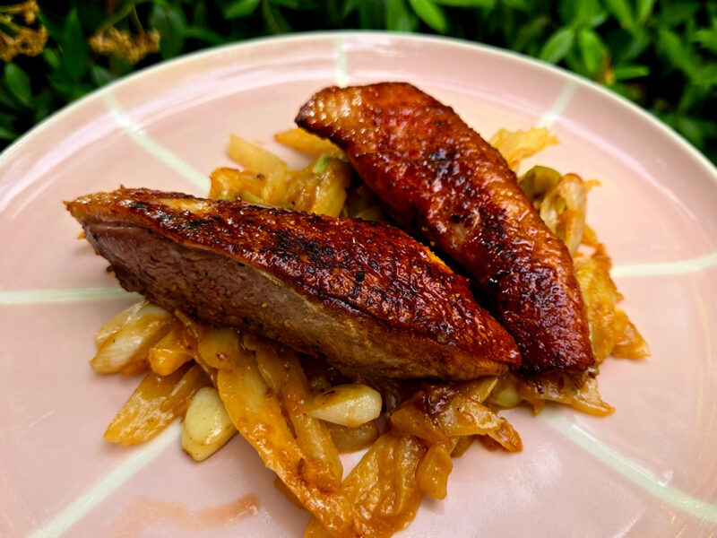 Duck Breast with Braised Fennel