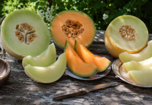 Melon Recipes