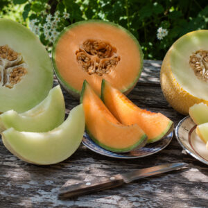 Melon Recipes