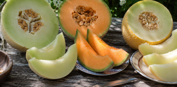 Melon Recipes