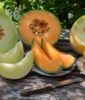 Melon Recipes