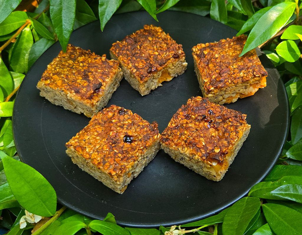 Apricot and Pistachio Oat Slices