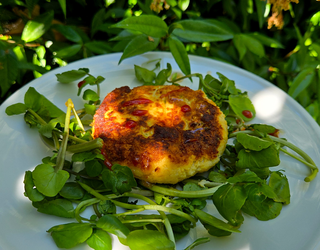 Bean and Cauliflower Burgers