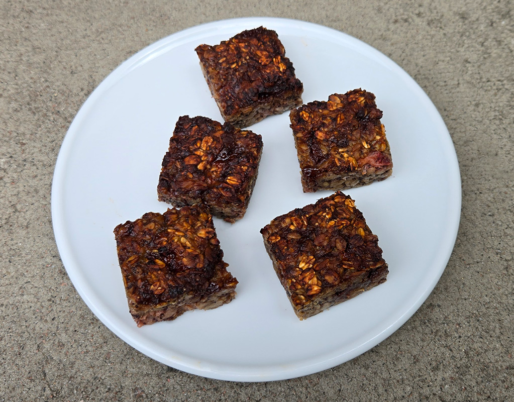 Chocolate and Strawberry Oat Squares