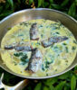 Fennel and Sardine Frittata