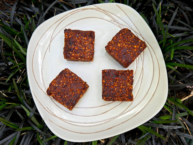 Strawberry and Cocoa Oat Squares