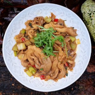 Oyster mushroom and leek stir-fry! Soooo yummy 😋 recipe  on cooktogether.com .
.
.
#veganuary #stirfryveggies #oystermushrooms #easyveganmeals #plantbasedmeal #veganstirfry #recipeoftheday #tastyvegan #healthymeals #glutenfreevegan #yummyhealthy #veganinspiration #veganlunch #veganrecipes #healthyeating #healthystirfry #instafood
