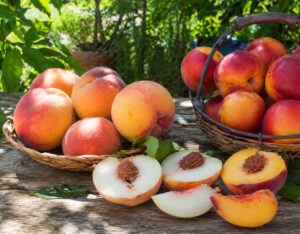 Peach Recipes