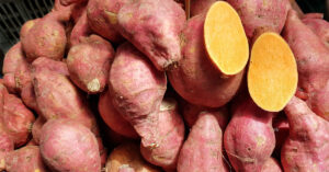 Sweet Potato Recipes